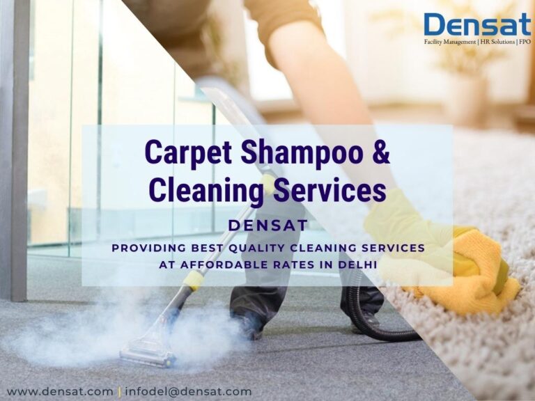 Carpet cleaning and carpet shampoo services