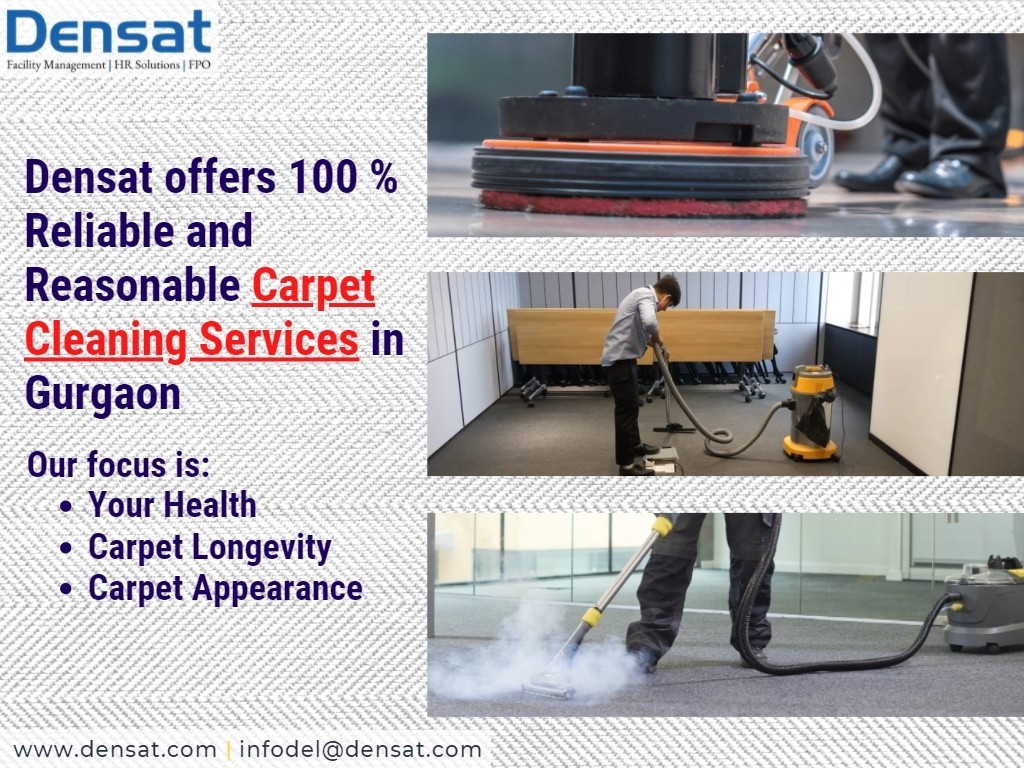 Carpet cleaning and carpet shampoo services