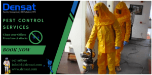 PEST CONTROL AND DISINFECTION SERVICES IN DELHI